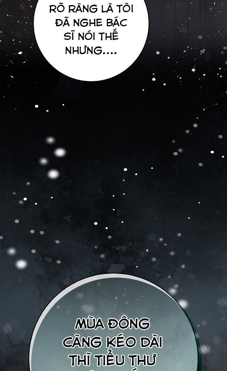 Sóc Con Tài Năng Chapter 73 - Trang 2