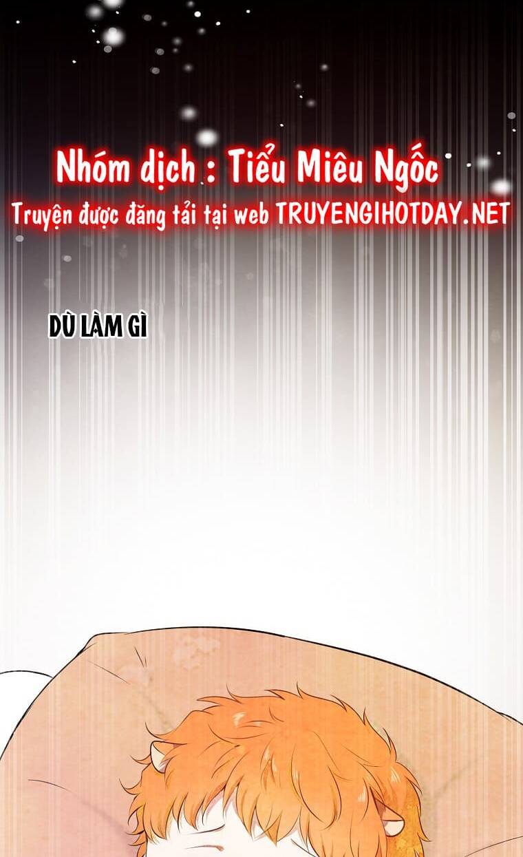 Sóc Con Tài Năng Chapter 73 - Trang 2