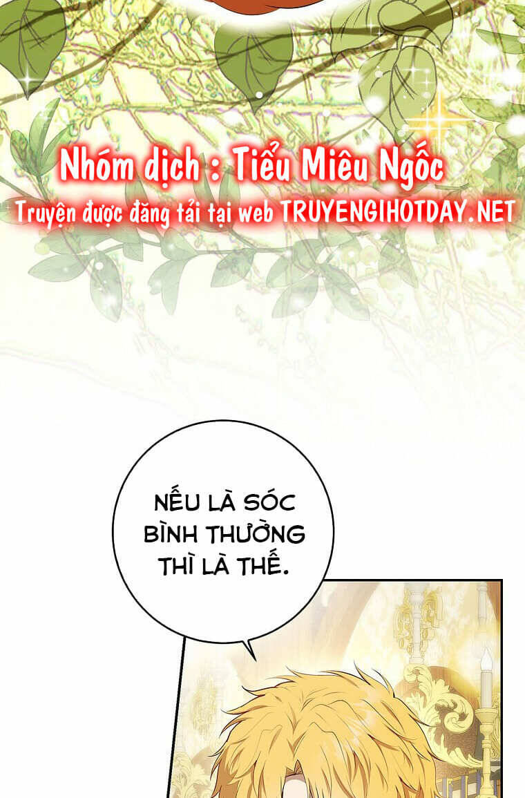 Sóc Con Tài Năng Chapter 73 - Trang 2
