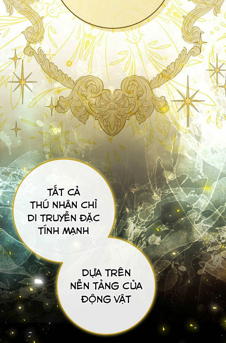 Sóc Con Tài Năng Chapter 73 - Trang 2