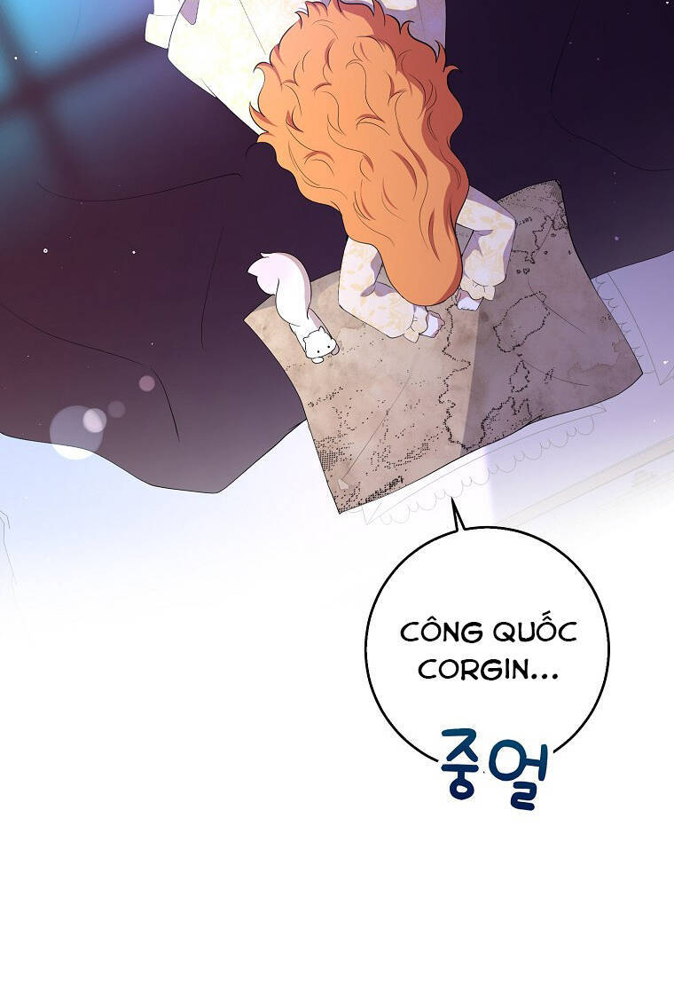 Sóc Con Tài Năng Chapter 73 - Trang 2