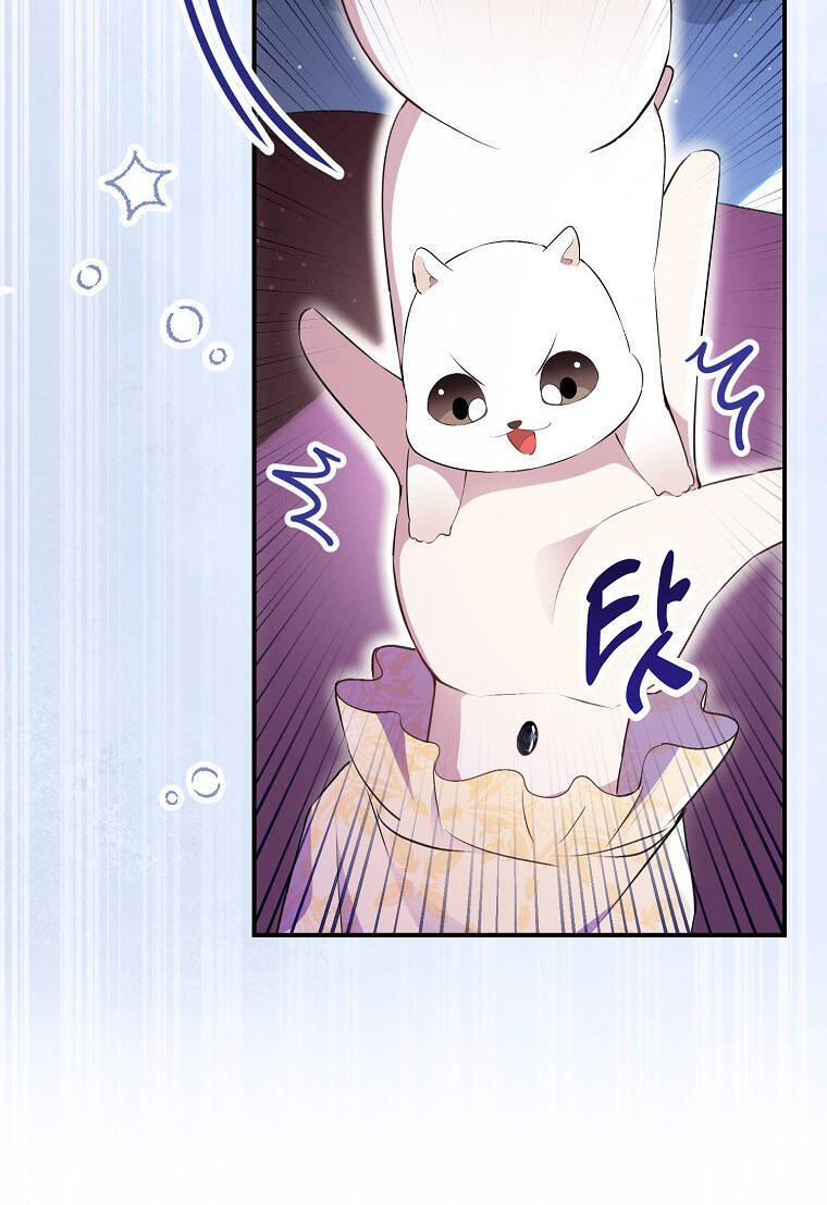 Sóc Con Tài Năng Chapter 73 - Trang 2