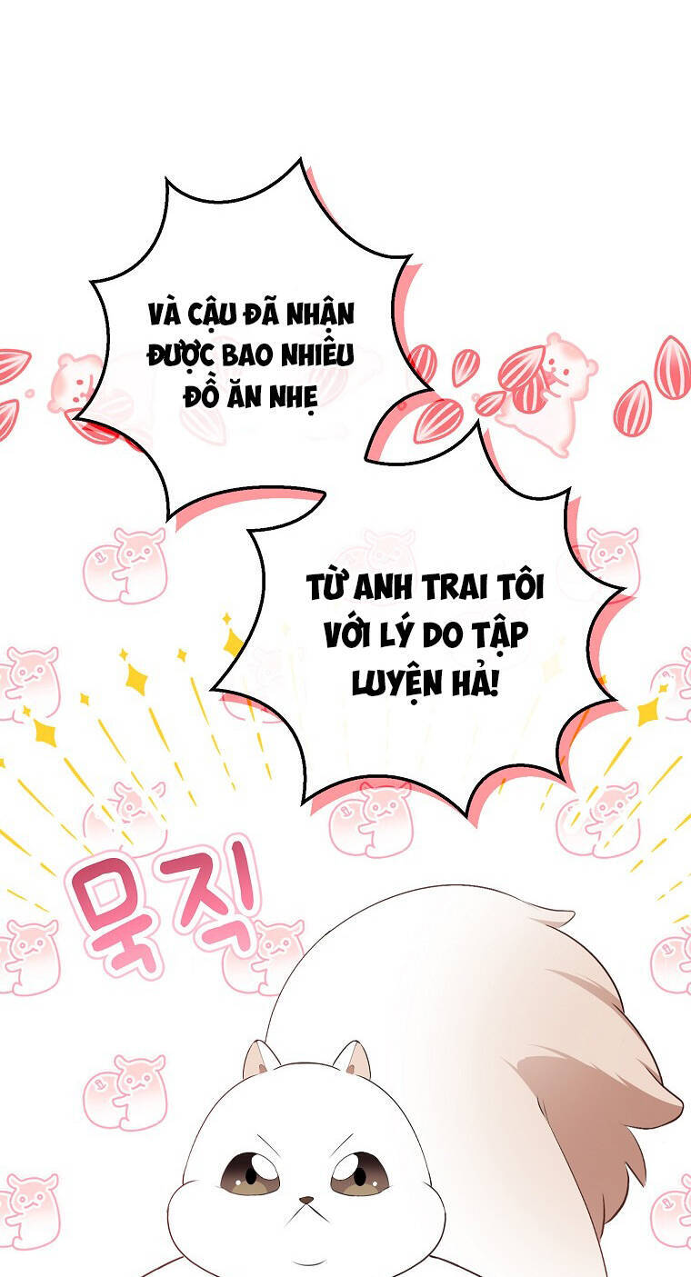 Sóc Con Tài Năng Chapter 73 - Trang 2