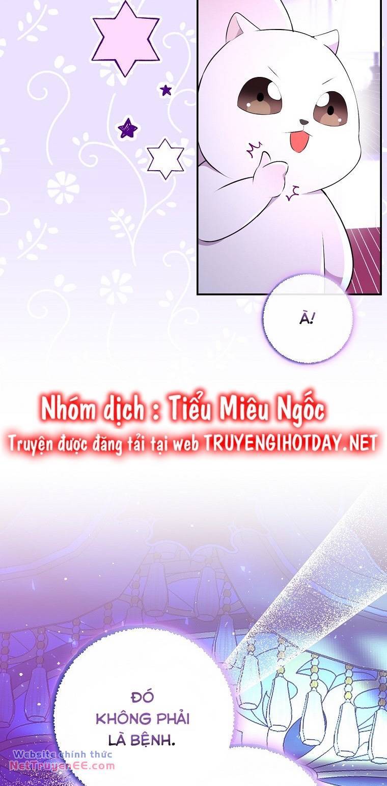 Sóc Con Tài Năng Chapter 74 - Trang 2