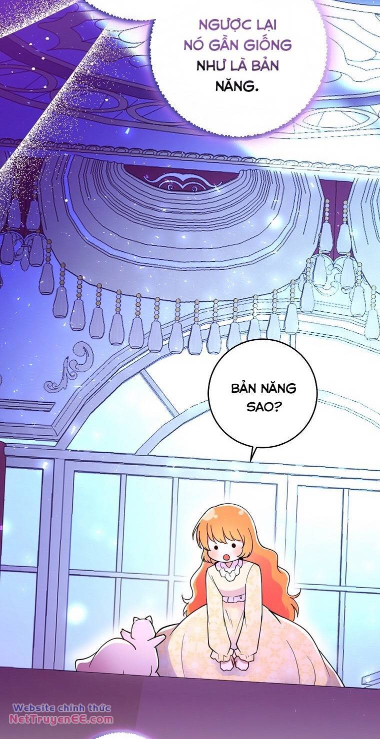 Sóc Con Tài Năng Chapter 74 - Trang 2