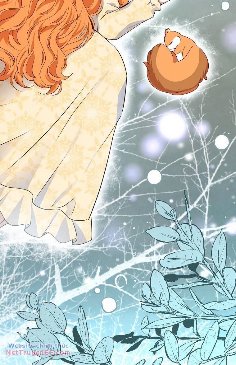 Sóc Con Tài Năng Chapter 74 - Trang 2