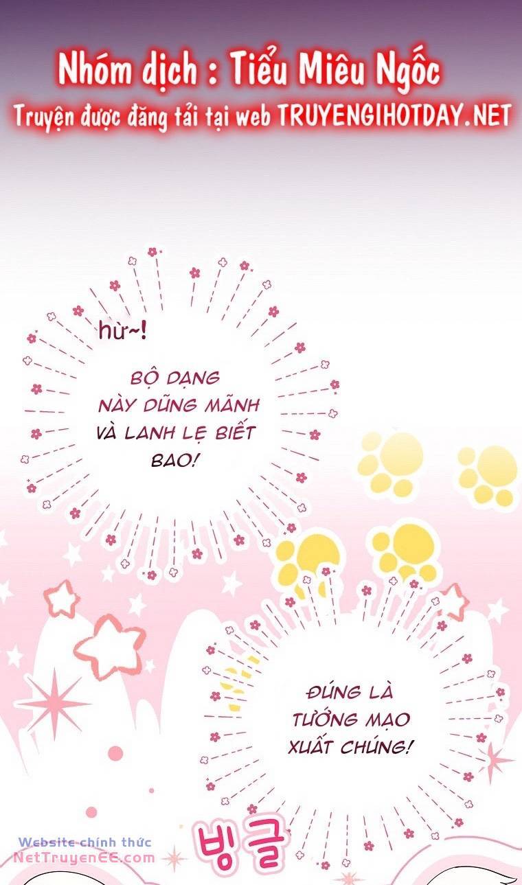 Sóc Con Tài Năng Chapter 74 - Trang 2