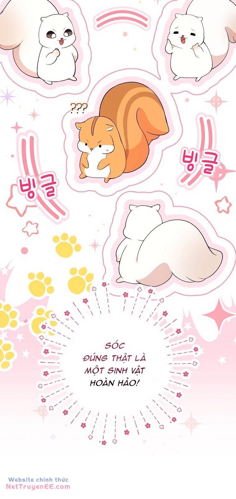 Sóc Con Tài Năng Chapter 74 - Trang 2