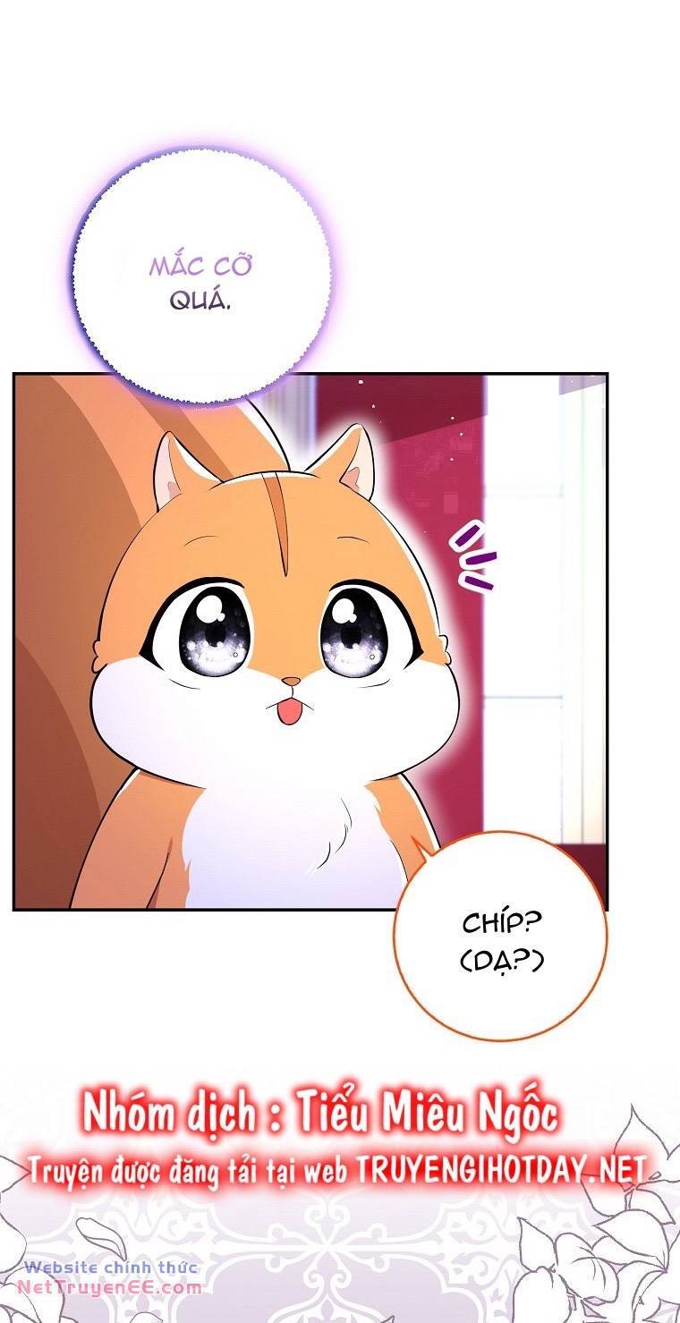 Sóc Con Tài Năng Chapter 74 - Trang 2