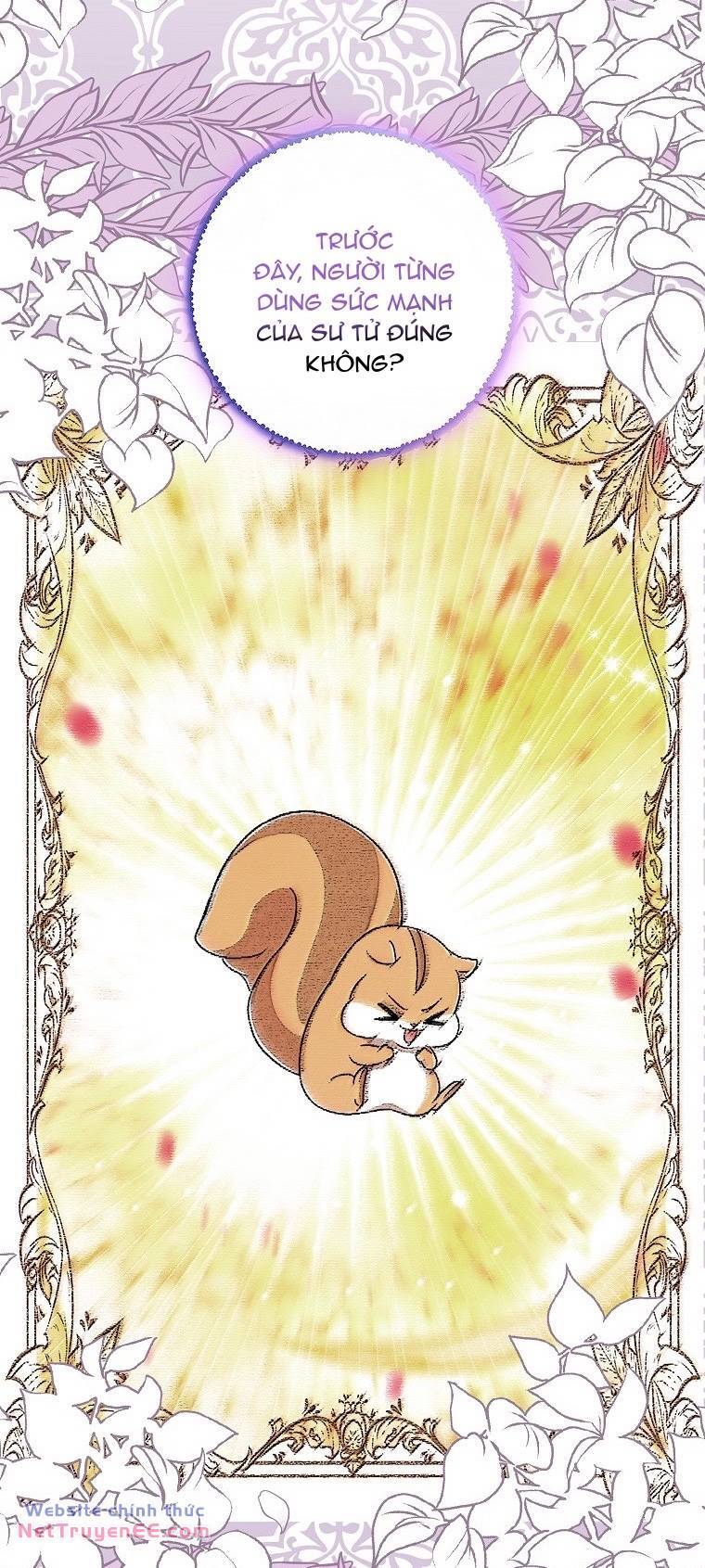 Sóc Con Tài Năng Chapter 74 - Trang 2