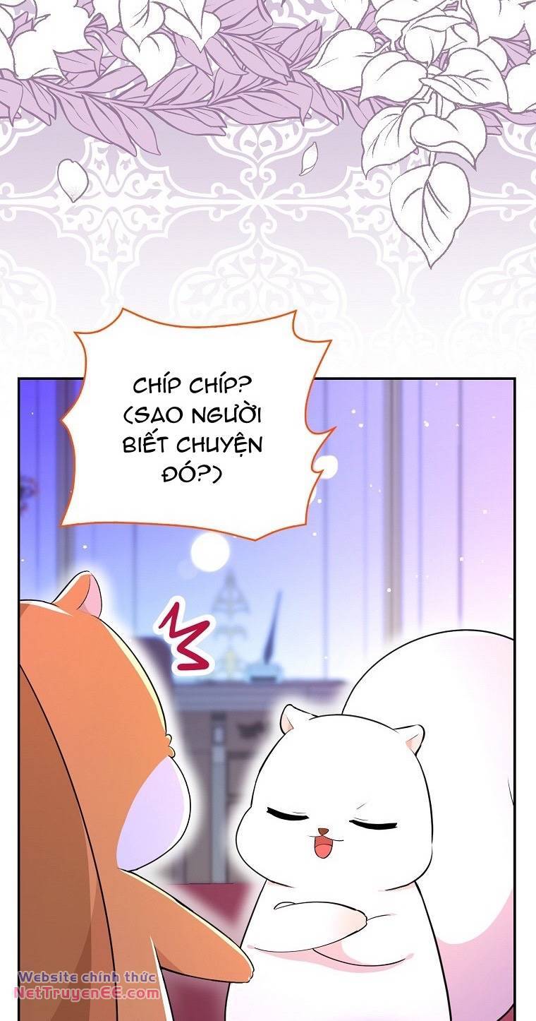 Sóc Con Tài Năng Chapter 74 - Trang 2