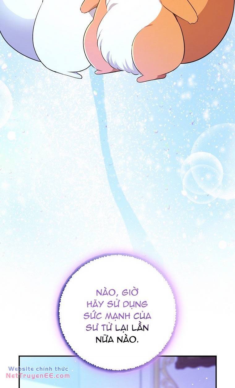 Sóc Con Tài Năng Chapter 74 - Trang 2