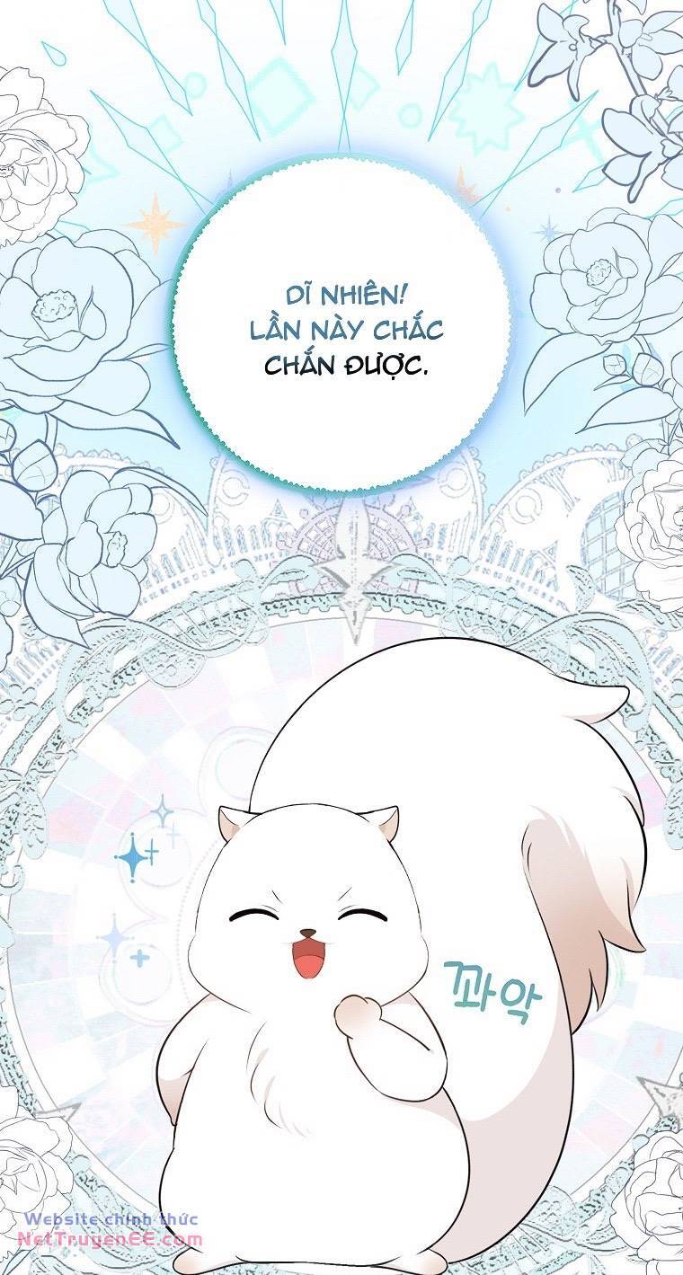 Sóc Con Tài Năng Chapter 74 - Trang 2