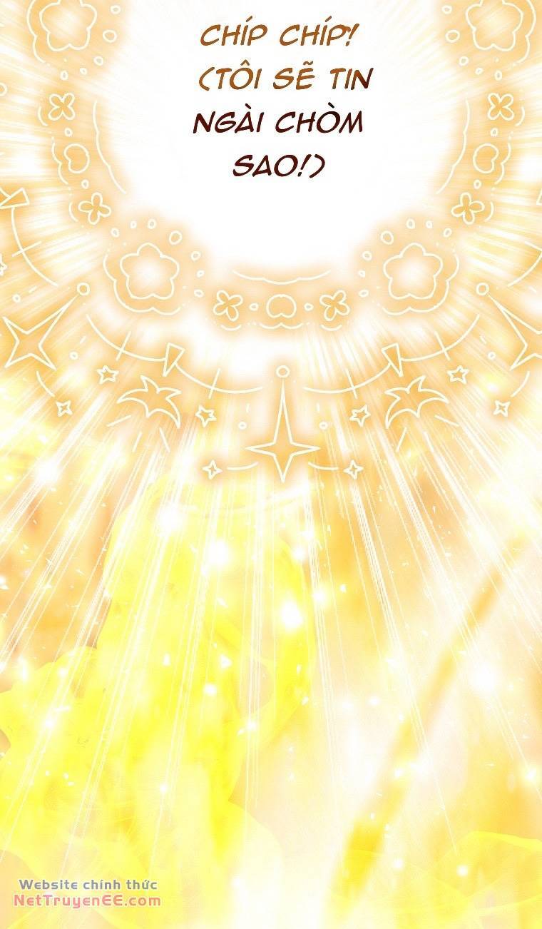 Sóc Con Tài Năng Chapter 74 - Trang 2