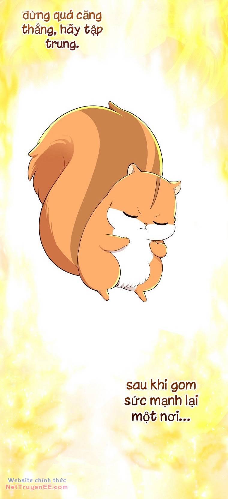 Sóc Con Tài Năng Chapter 74 - Trang 2