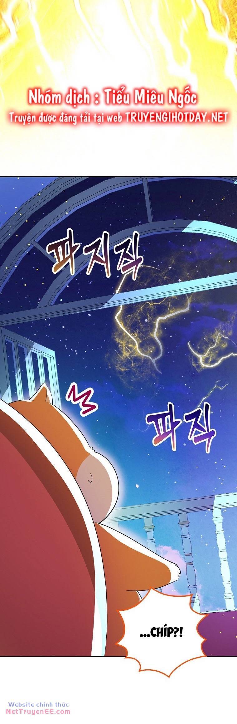 Sóc Con Tài Năng Chapter 74 - Trang 2