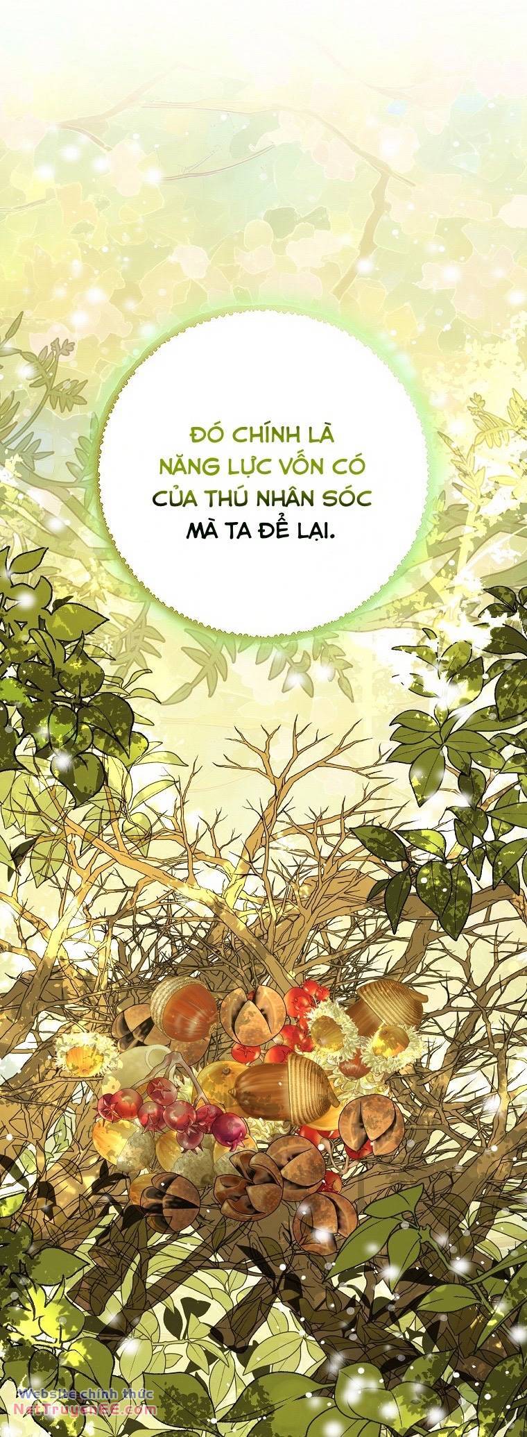Sóc Con Tài Năng Chapter 74 - Trang 2
