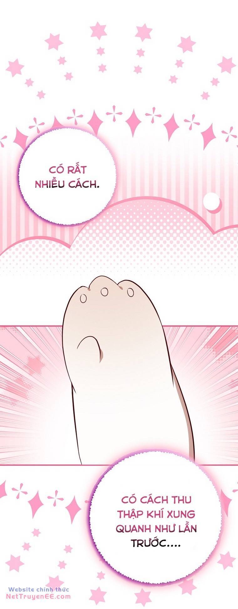 Sóc Con Tài Năng Chapter 74 - Trang 2