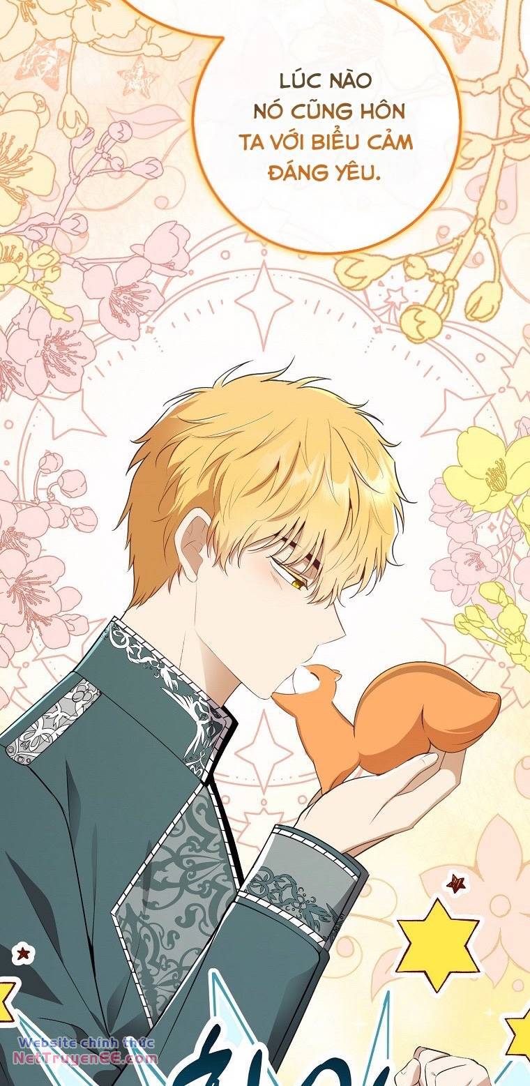 Sóc Con Tài Năng Chapter 74 - Trang 2