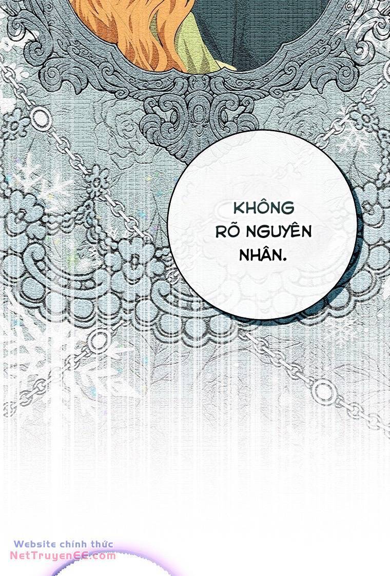 Sóc Con Tài Năng Chapter 74 - Trang 2