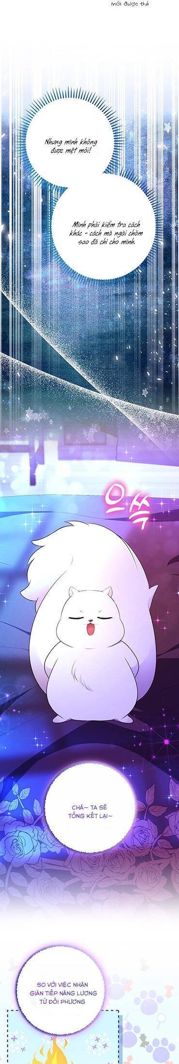 Sóc Con Tài Năng Chapter 75 - Trang 2