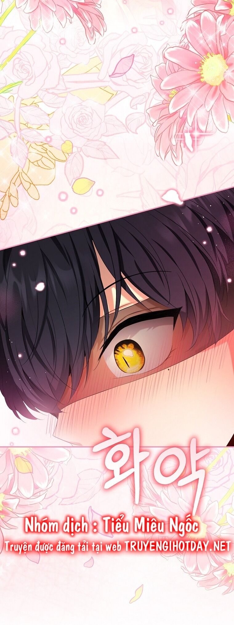 Sóc Con Tài Năng Chapter 76 - Trang 2