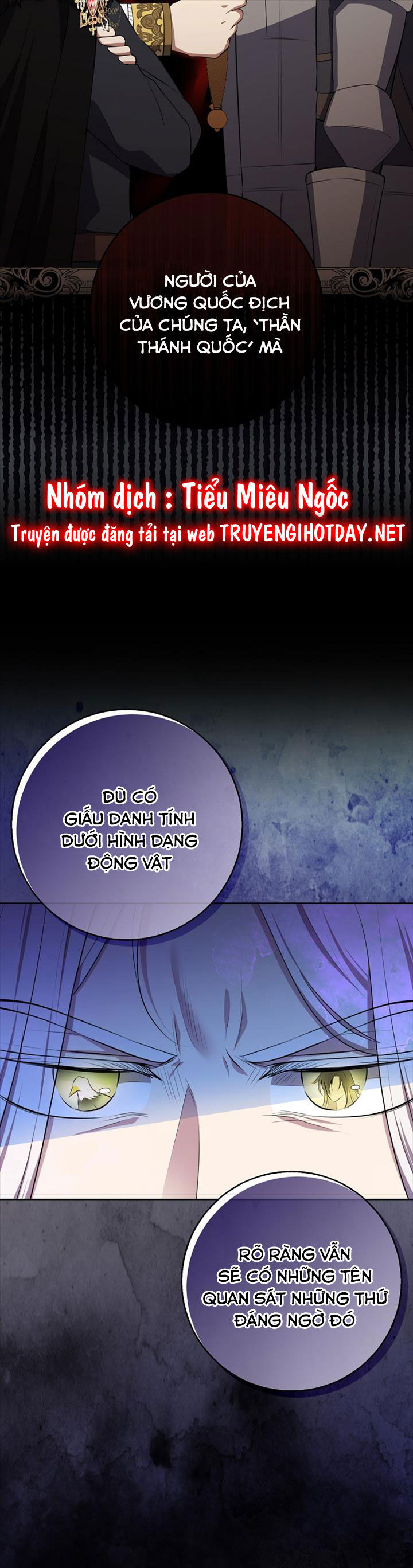 Sóc Con Tài Năng Chapter 77 - Trang 2