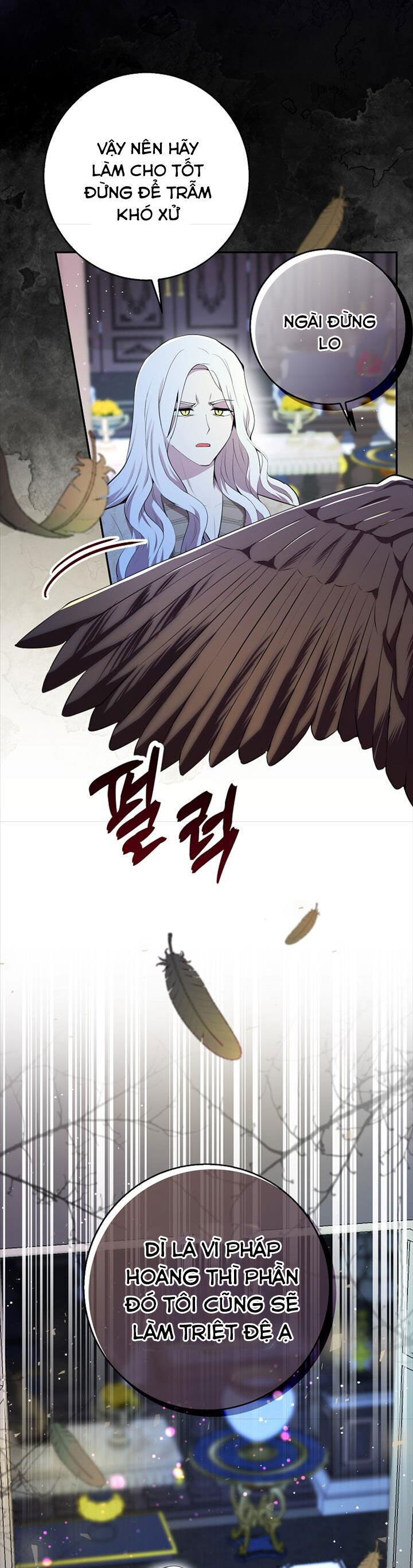 Sóc Con Tài Năng Chapter 77 - Trang 2