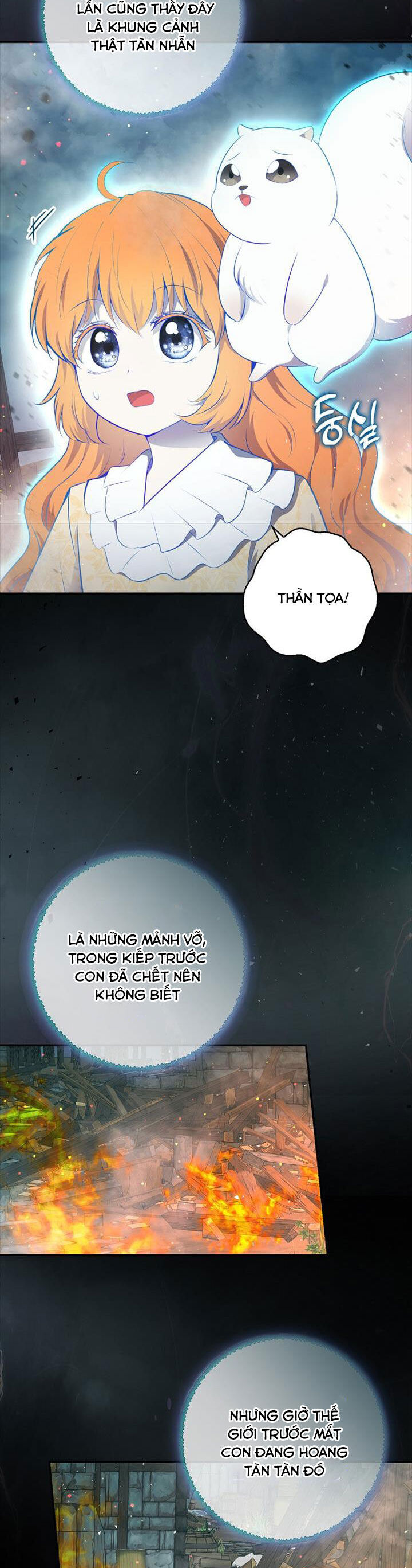 Sóc Con Tài Năng Chapter 77 - Trang 2