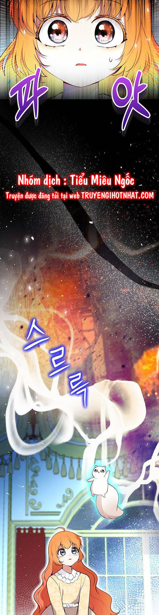 Sóc Con Tài Năng Chapter 78 - Trang 2