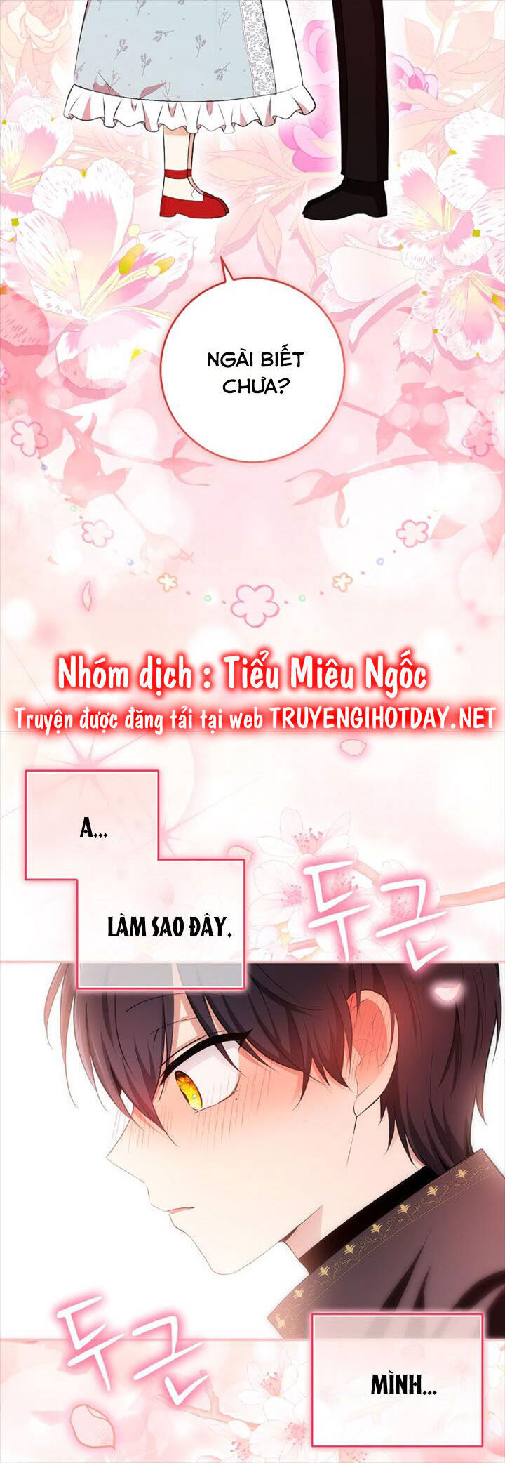 Sóc Con Tài Năng Chapter 80 - Trang 2