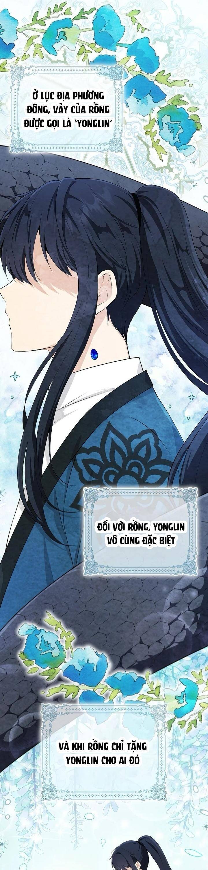 Sóc Con Tài Năng Chapter 82 - Trang 2