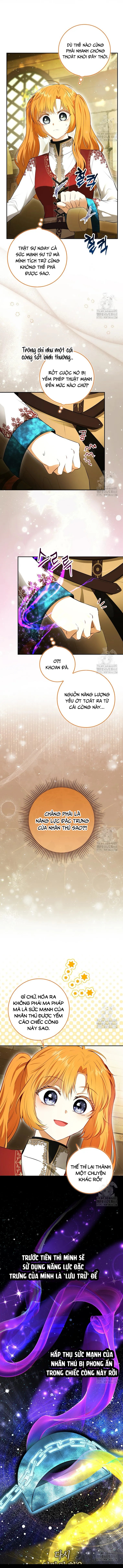 Sóc Con Tài Năng Chapter 104 - Trang 2