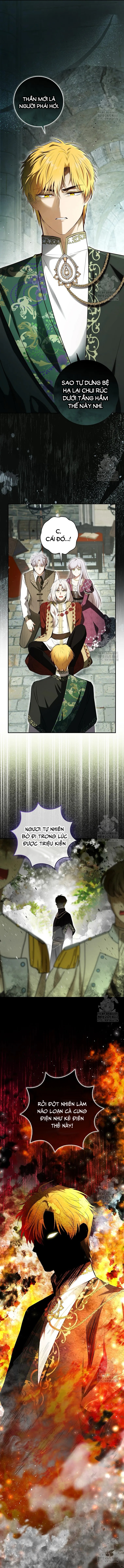 Sóc Con Tài Năng Chapter 104 - Trang 2