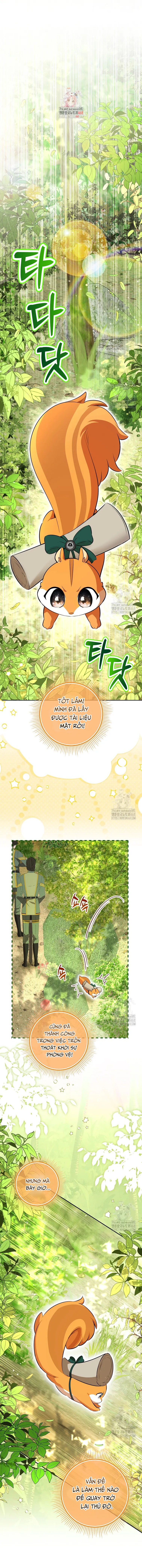 Sóc Con Tài Năng Chapter 106 - Trang 2