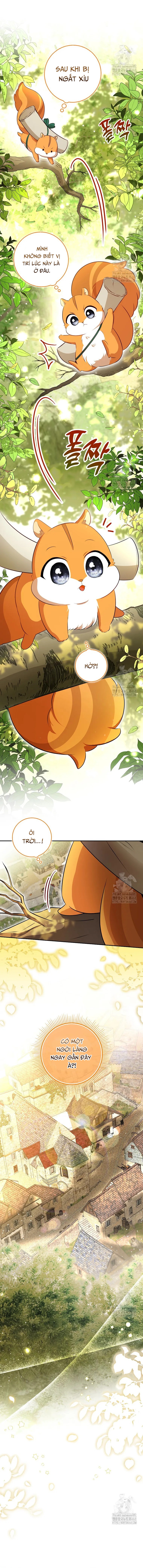 Sóc Con Tài Năng Chapter 106 - Trang 2
