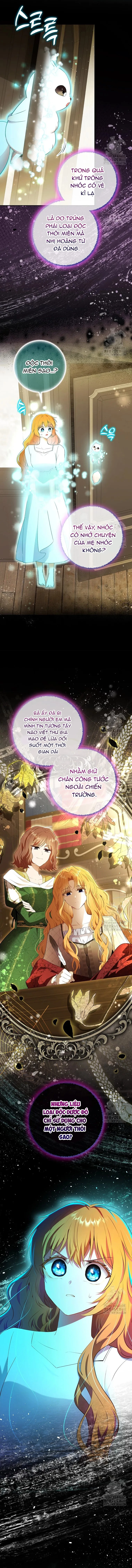 Sóc Con Tài Năng Chapter 107 - Trang 2
