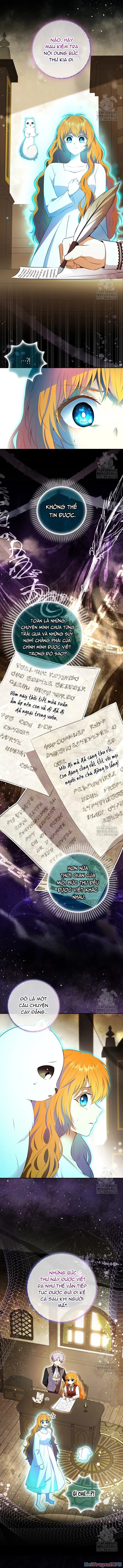 Sóc Con Tài Năng Chapter 107 - Trang 2