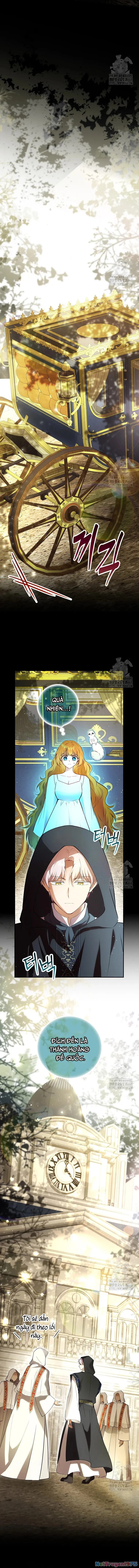 Sóc Con Tài Năng Chapter 107 - Trang 2