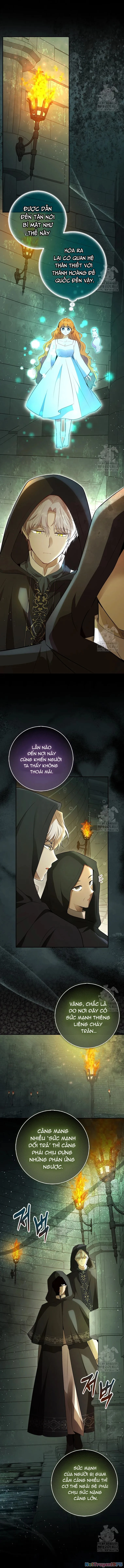 Sóc Con Tài Năng Chapter 107 - Trang 2