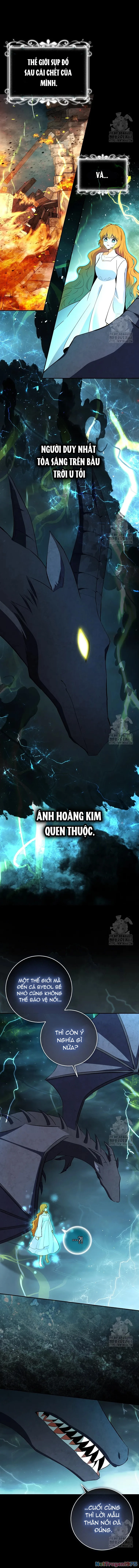 Sóc Con Tài Năng Chapter 108 - Trang 2