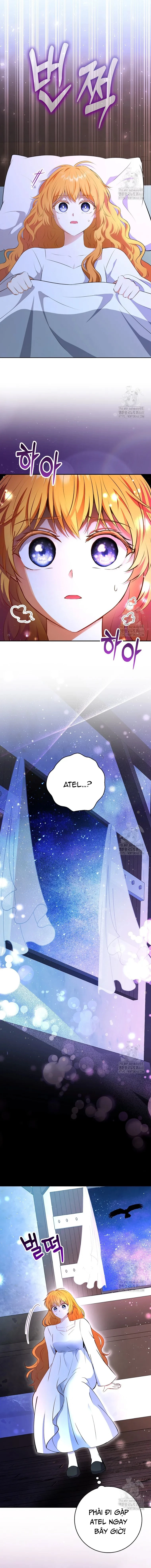 Sóc Con Tài Năng Chapter 108 - Trang 2