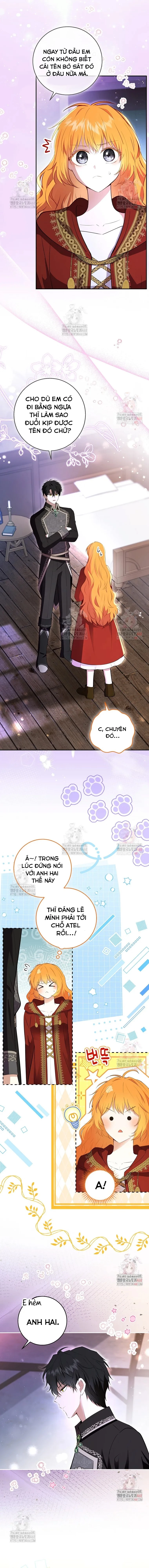 Sóc Con Tài Năng Chapter 110 - Trang 2