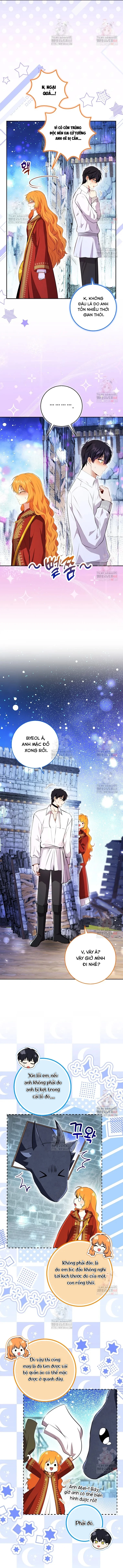 Sóc Con Tài Năng Chapter 112 - Trang 2