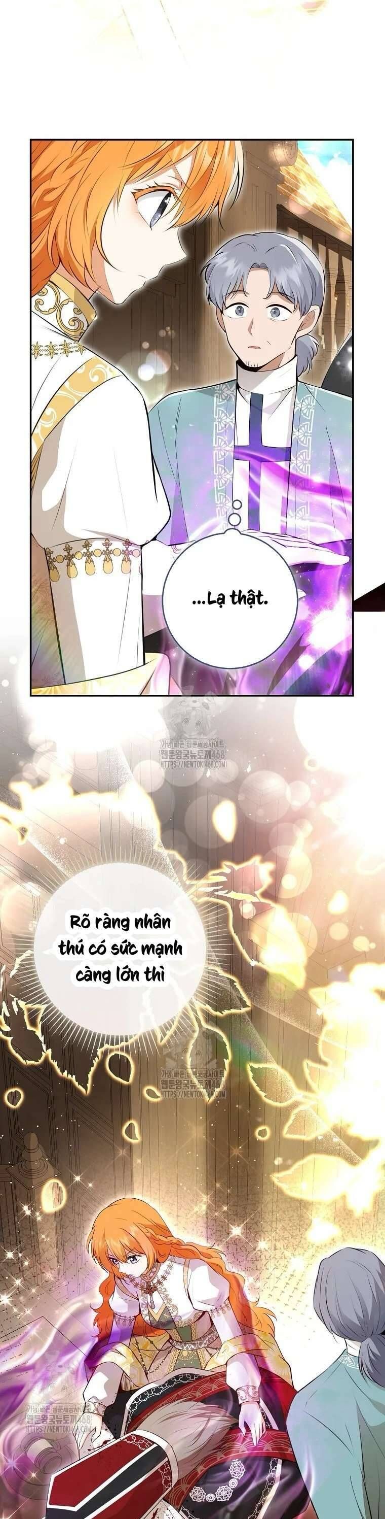 Sóc Con Tài Năng Chapter 117 - Trang 2