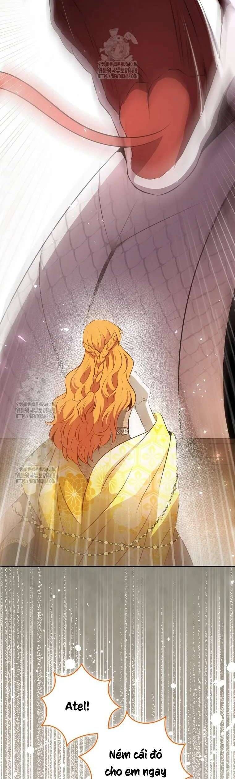 Sóc Con Tài Năng Chapter 117 - Trang 2