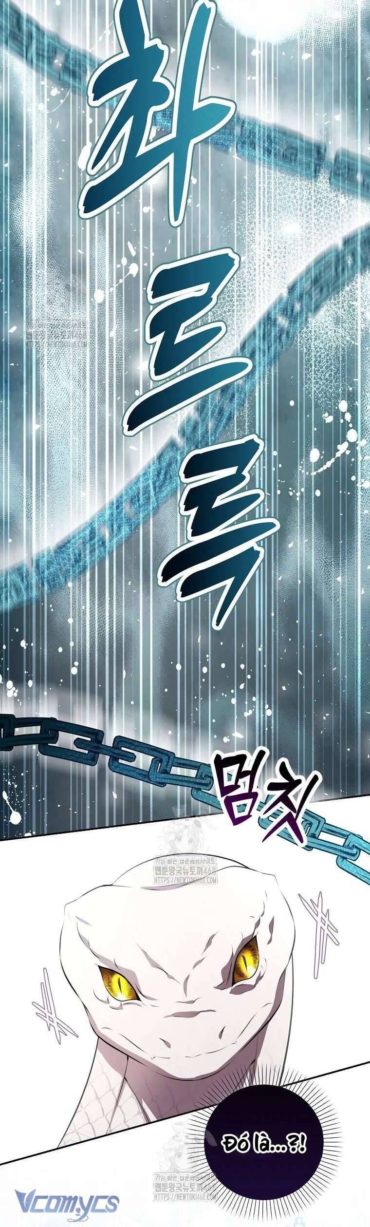 Sóc Con Tài Năng Chapter 117 - Trang 2