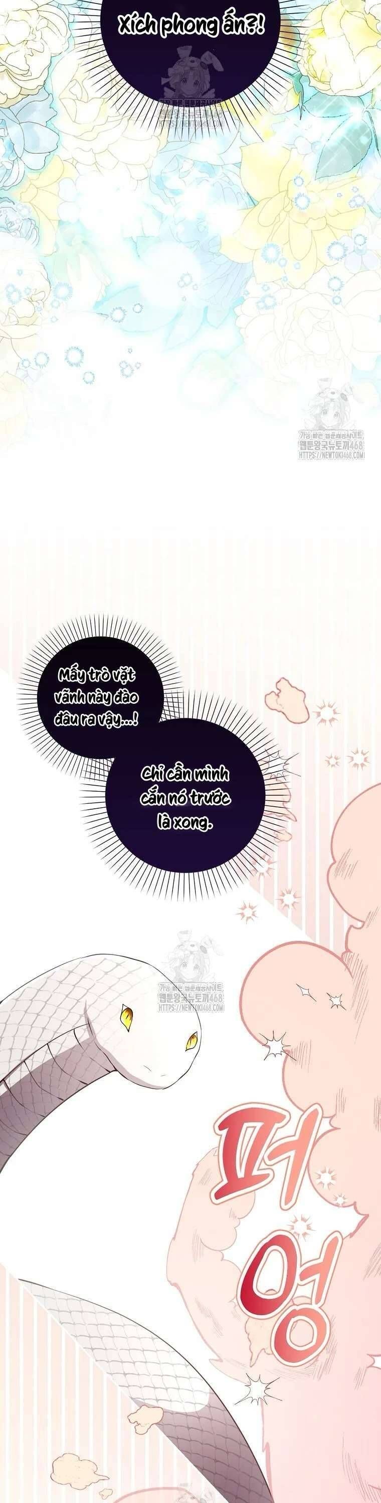 Sóc Con Tài Năng Chapter 117 - Trang 2