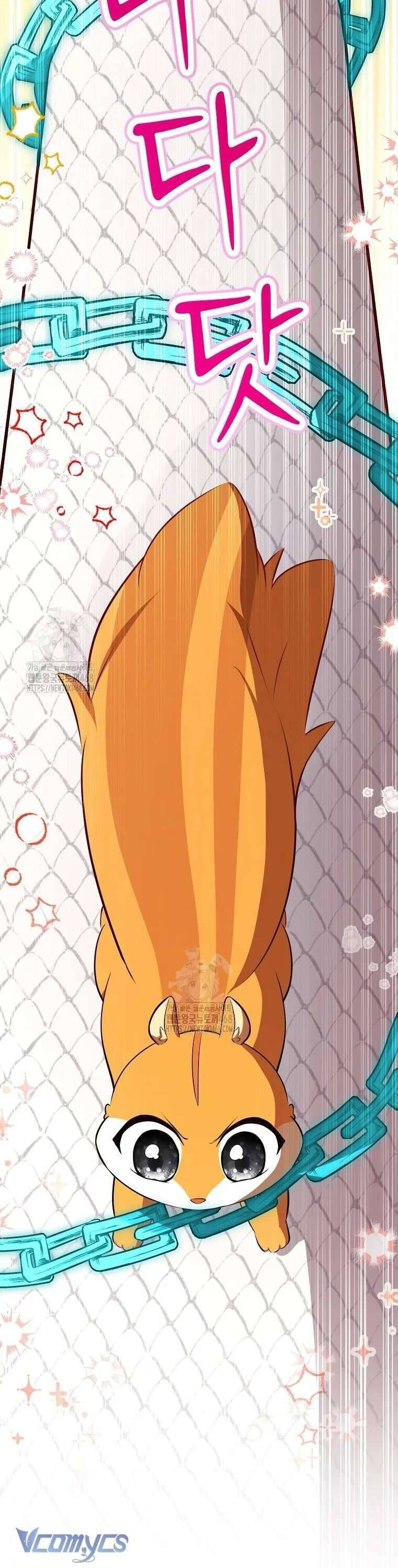 Sóc Con Tài Năng Chapter 117 - Trang 2