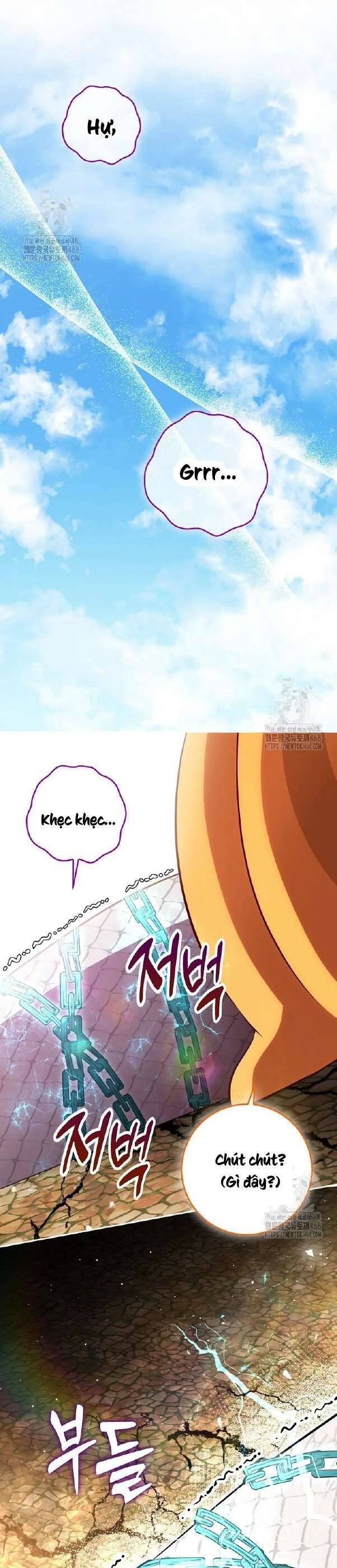 Sóc Con Tài Năng Chapter 117 - Trang 2